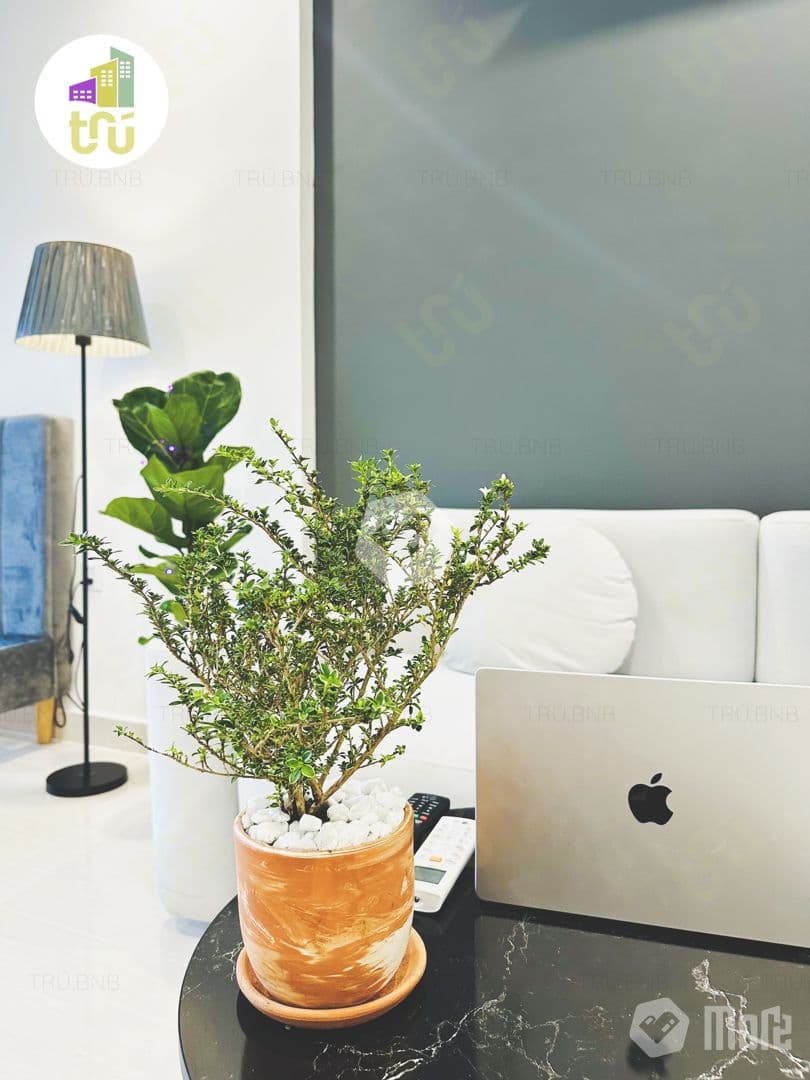 Căn hộ Vinhomes GP Origami - Ảnh 5