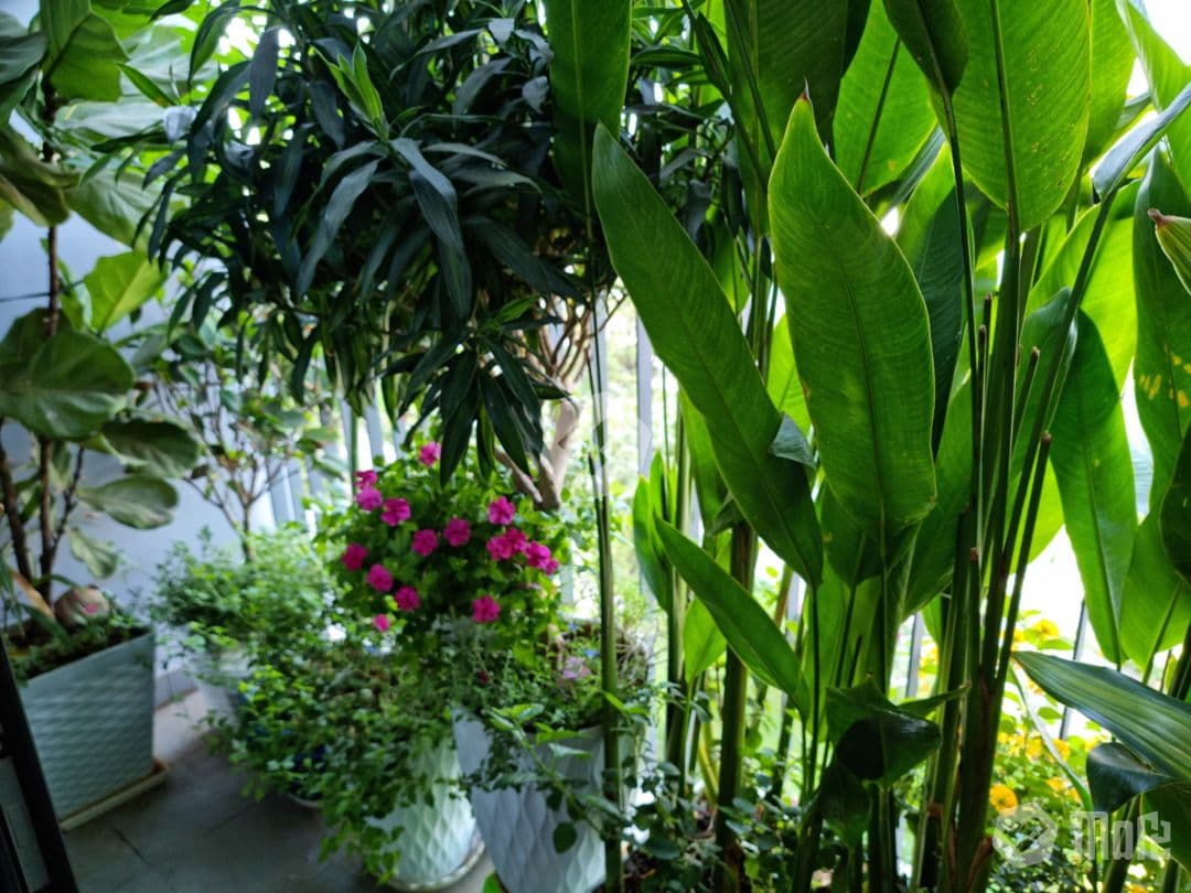 Căn hộ Vinhomes GP Rainbow - Ảnh 5