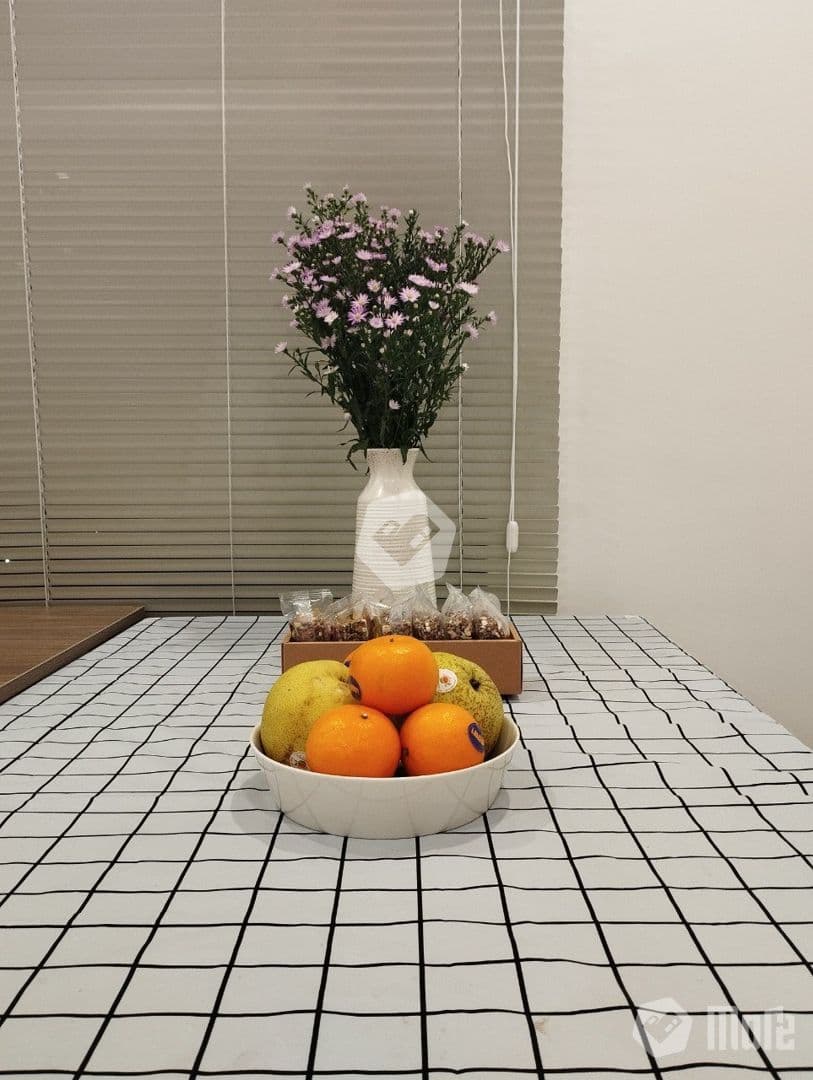 Căn hộ Vinhomes GP Beverly Solary - Ảnh 11