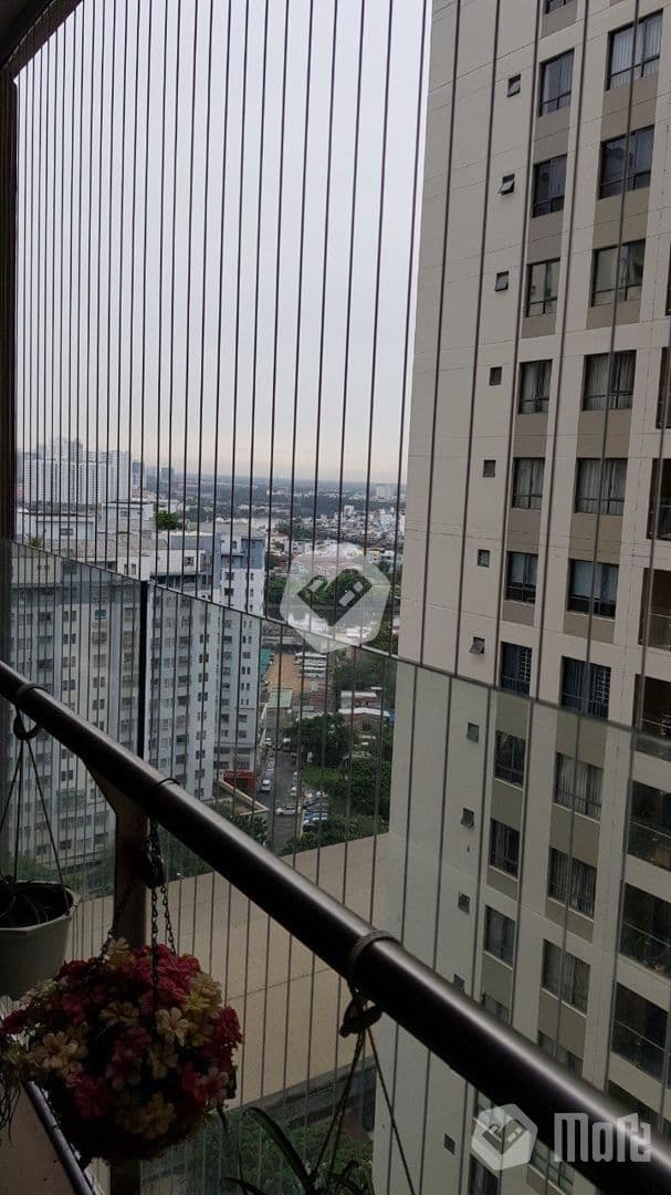 Căn hộ Gold View - Ảnh 5
