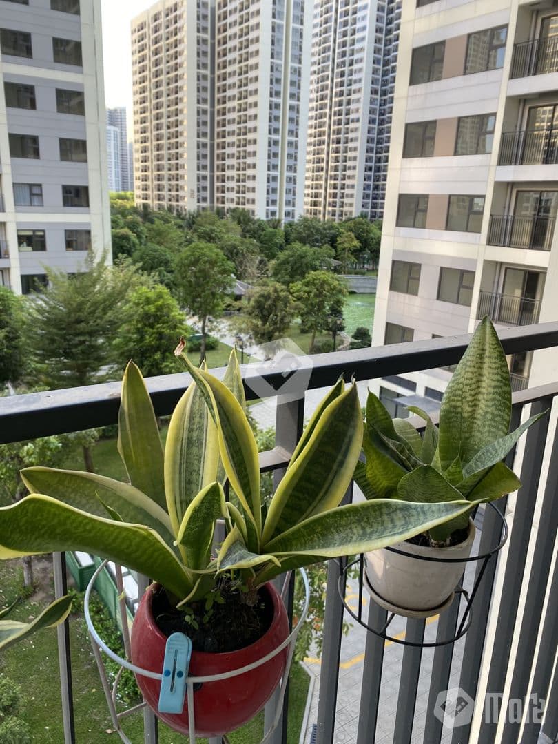 Căn hộ Vinhomes GP Origami - Ảnh 5