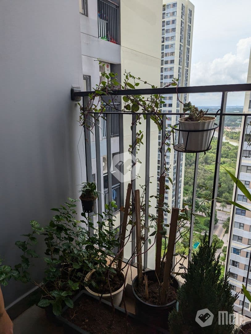Căn hộ Vinhomes GP Rainbow - Ảnh 5
