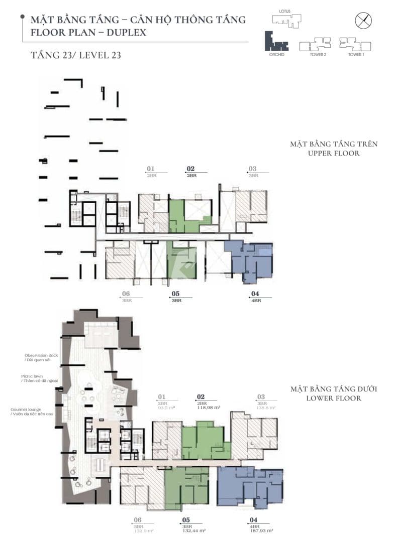 Mặt bằng Block Orchid - Hình 1