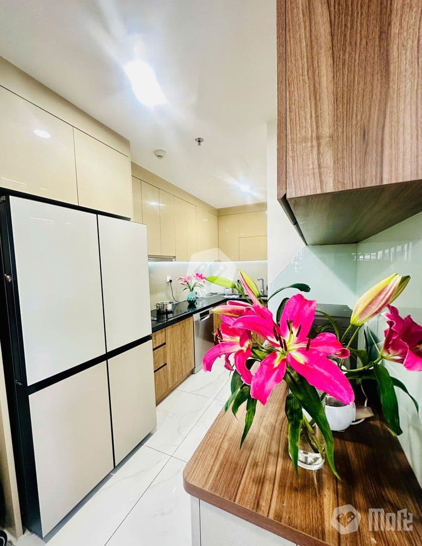 Căn hộ Celadon Diamond Alnata Plus - Ảnh 3