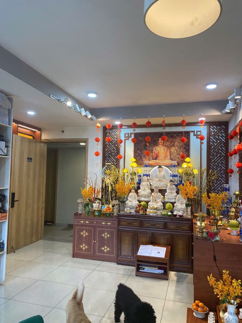 Căn hộ Celadon City Emerald - Ảnh 5