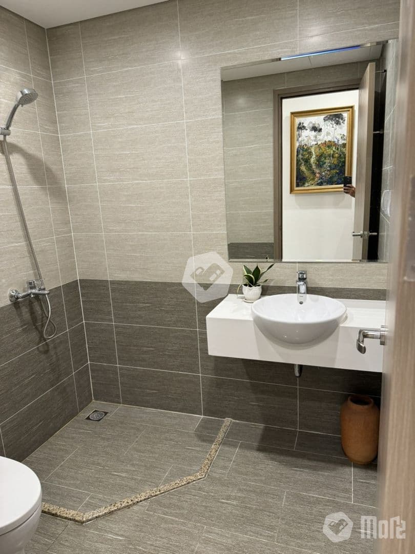Căn hộ Vinhomes GP Beverly Solary - Ảnh 8